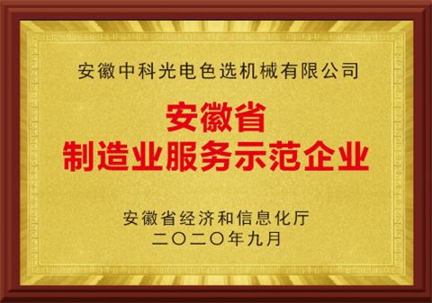 37-安徽省制造業服務示范企業